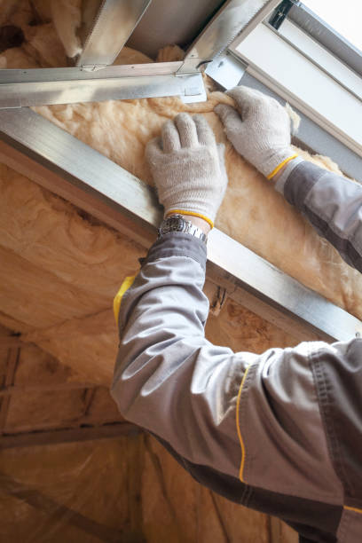 Best Insulation Removal  in Stevensville, MT